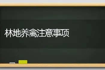 林地养禽注意事项