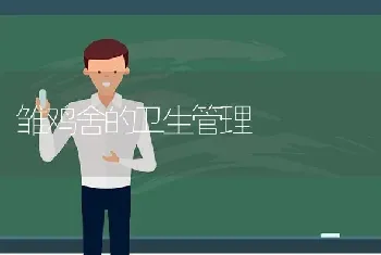 雏鸡舍的卫生管理