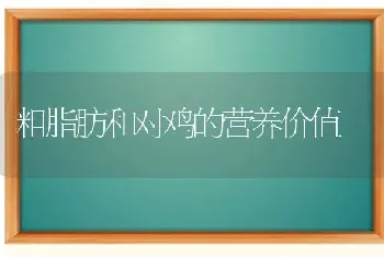 粗脂肪和对鸡的营养价值