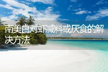 南美白对虾减料或厌食的解决方法