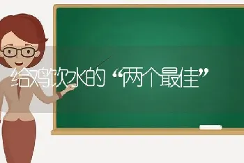 给鸡饮水的“两个最佳”