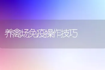 养禽场免疫操作技巧