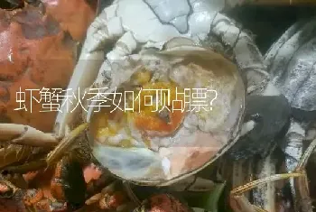 虾蟹秋季如何贴膘?