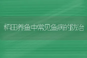 稻田养鱼中常见鱼病的防治