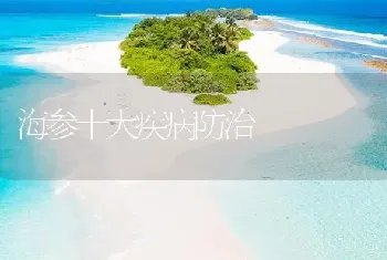 海参十大疾病防治