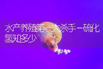 水产养殖第一大杀手－硫化氢知多少