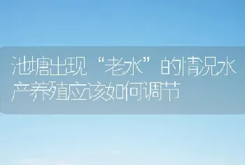 池塘出现“老水”的情况水产养殖应该如何调节