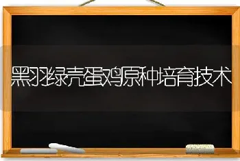 黑羽绿壳蛋鸡原种培育技术