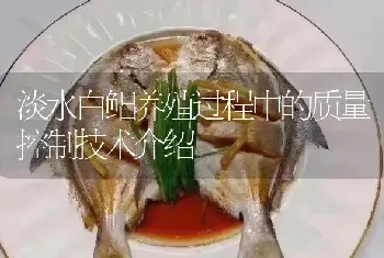 淡水白鲳养殖过程中的质量控制技术介绍