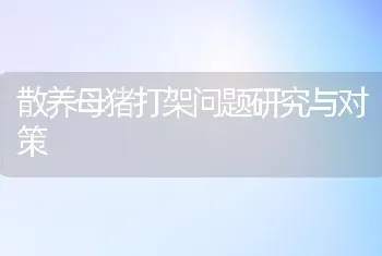 散养母猪打架问题研究与对策