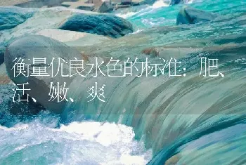 衡量优良水色的标准：肥、活、嫩、爽