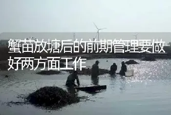 蟹苗放塘后的前期管理要做好两方面工作