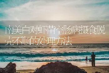 精心管理,打赢南美白对虾养殖第一仗