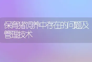 保育猪饲养中存在的问题及管理技术