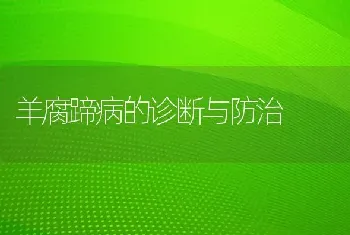 羊腐蹄病的诊断与防治