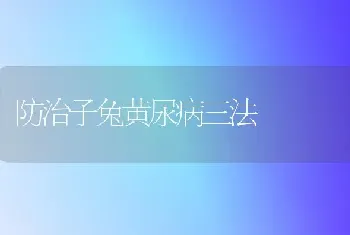 防治子兔黄尿病三法