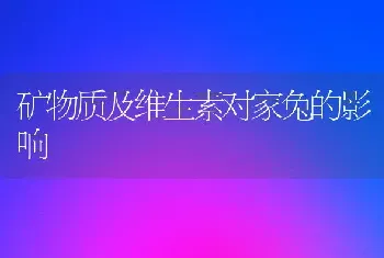 矿物质及维生素对家兔的影响