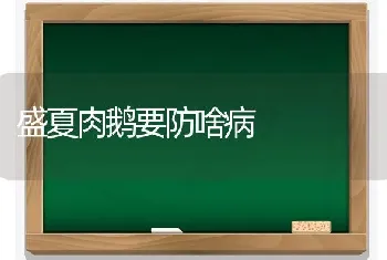 盛夏肉鹅要防啥病