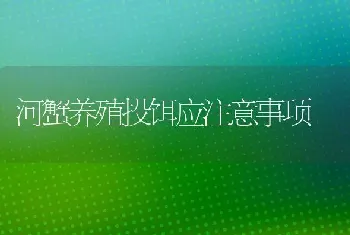 河蟹养殖投饵应注意事项