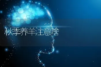 秋季养羊注意啥