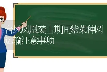 台风凤凰袭击期间紫菜种网运输注意事项