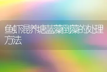 鱼虾混养塘蓝藻倒藻的处理方法