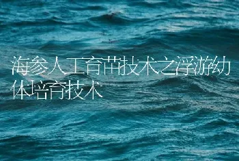 海参人工育苗技术之浮游幼体培育技术