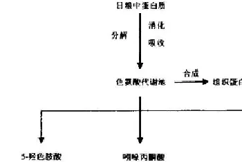 色氨酸的营养生理研究