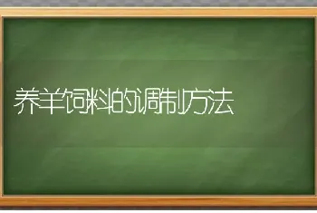 养羊饲料的调制方法