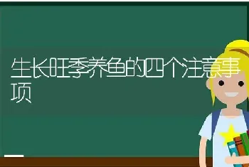 生长旺季养鱼的四个注意事项