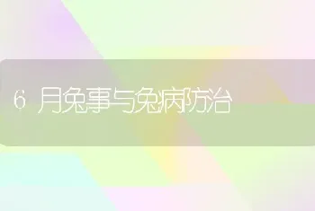 6月兔事与兔病防治