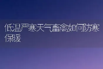 低温严寒天气畜禽如何防寒保暖