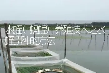 水蛭(蚂蝗)养殖技术之水蛭引种的方法