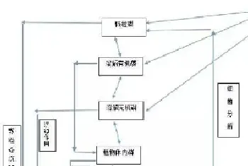 养殖水体中磷的来源去向和发挥的作用