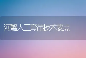 河蟹人工育苗技术要点