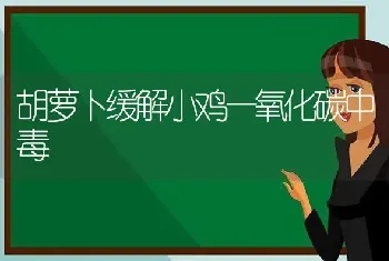 胡萝卜缓解小鸡一氧化碳中毒