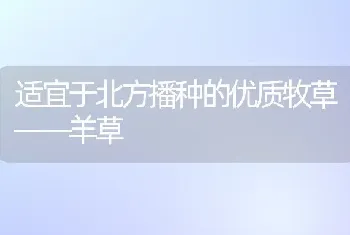 适宜于北方播种的优质牧草——羊草