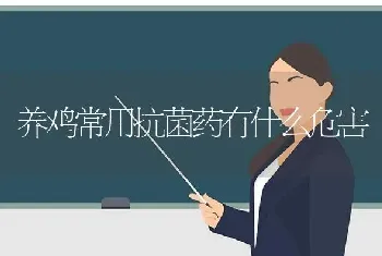 养鸡常用抗菌药有什么危害