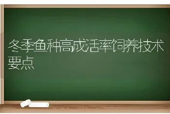 冬季鱼种高成活率饲养技术要点