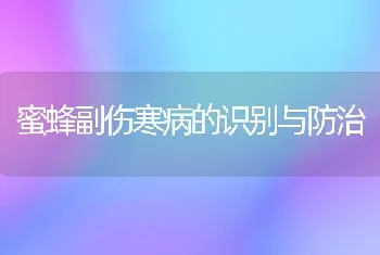 鸡的产蛋异常及防治技术策略