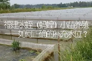 福建水蛭(蚂蝗)小苗养殖——如何正确的补充水位?