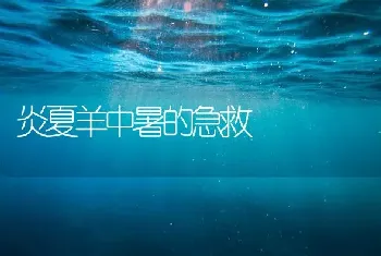 炎夏羊中暑的急救