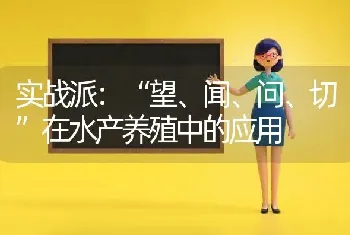 实战派：“望、闻、问、切”在水产养殖中的应用