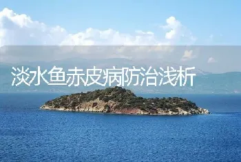 淡水鱼赤皮病防治浅析