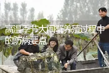 高温季节大闸蟹养殖过程中的防病要点