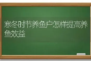 寒冬时节养鱼户怎样提高养鱼效益