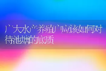 广大水产养殖户应该如何对待池塘的底质