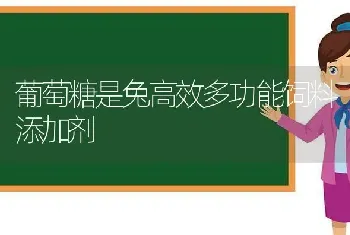 葡萄糖是兔高效多功能饲料添加剂