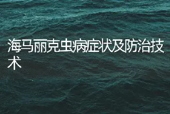 海马丽克虫病症状及防治技术