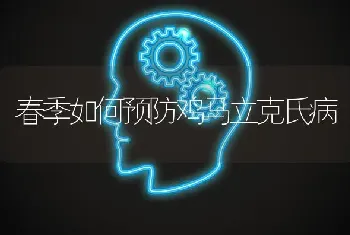 春季如何预防鸡马立克氏病